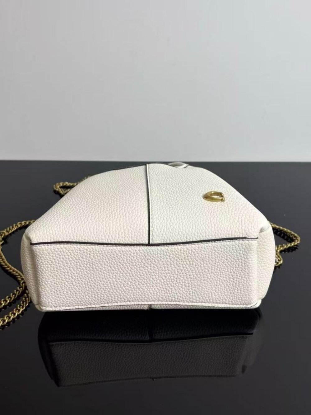 Coach Mini Lana 19 Tote Bag with Detachable Chain Strap - Picture 4 of 5